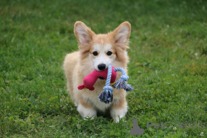 Фото №3. Наталья.  Беларусь