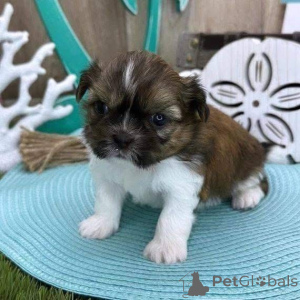 Фото №1.  - купить в Фредериксборг за 44934₽. Объявление №161150