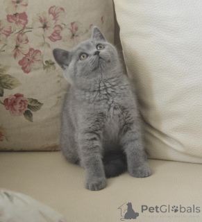 Фото №3. Роксана Михалсеа. Румыния