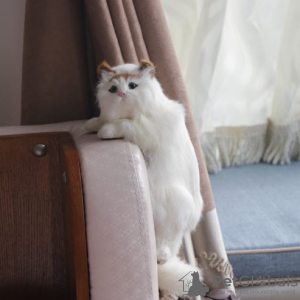 Фото №2 к объявлению №129159 о продаже американский бобтейл длинношёрстный - купить в Барбадосе частное объявление