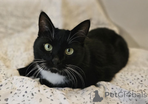 Фото №1.  - купить в Минске за Бесплатно. Объявление №157452