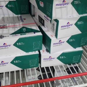 Фото №1. американский керл - купить в Аугсбург за Бесплатно. Объявление №156651