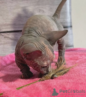 Фото №4. Продам  в Getaria частное объявление - цена договорная