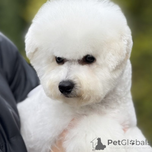 Фото №1.  - купить в Каунасе за 139151₽. Объявление №159516