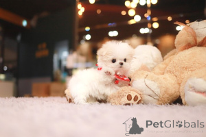 Фото №3. Дом декана Джанет Кей.  США