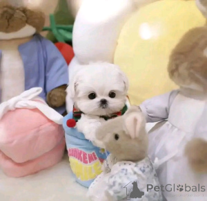 Фото №4. Продажа  в Бетон-Базоше  - цена договорная