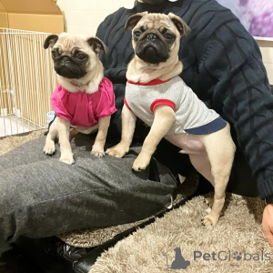 Фото №1.  - купить в Берлине за 60299₽. Объявление №140568