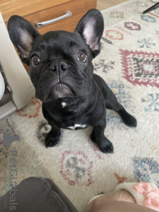 Фото №3. Мальчик 5 месяцев.  Финляндия