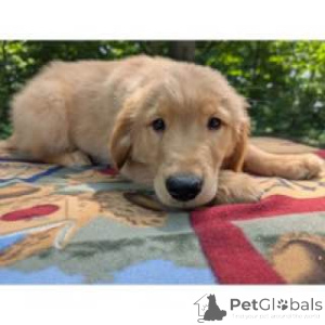 Фото №3. Только положительная атмосфера.  Австралия