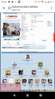 Фото №3. Щенки Джeк Рассeл теpьера.  Россия