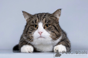 Фото №1.  - купить в Химках за Бесплатно. Объявление №165121