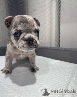 Фото №4. Продажа  в Техас  - цена договорная