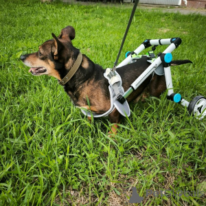 Фото №3. Чудесный мальчик Митя из приюта ищет семью..  Россия