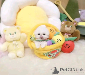 Фото №4. Продажа  в Калгари  - цена договорная