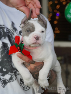 Фото №3. Яркие глаза, храброе сердце, Нова загорается каждое мгновение..  Швеция