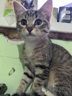 Фото №1.  - купить в Москве реке за Бесплатно. Объявление №156080