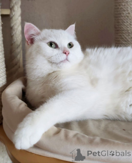 Фото №1.  - купить в Москве реке за Бесплатно. Объявление №163544