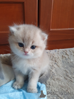 Фото №3. Юлия Владимировна Фонарева. Россия