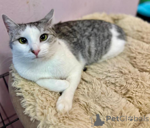 Фото №1.  - купить в Москве реке за Бесплатно. Объявление №160396