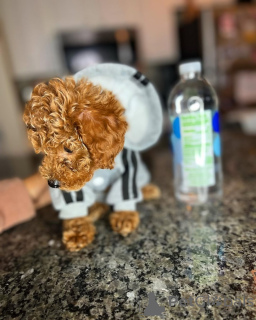 Фото №3. Поздравляю вас, ребята.  Финляндия