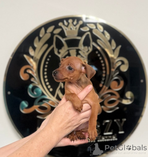 Фото №1.  - купить в Сараево за 31454₽. Объявление №161326