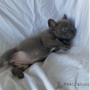 Фото №1.  - купить в Харькове за Бесплатно. Объявление №163568