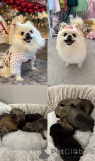 Фото №1.  - купить в Pano Lefkara за 31454₽. Объявление №161330