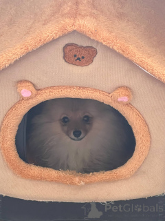 Фото №3. Эван Имад Юсиф.  Финляндия