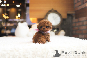 Фото №3. Дом декана Джанет Кей.  США