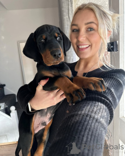 Фото №4. Продажа  в Берлине  - цена 60299₽