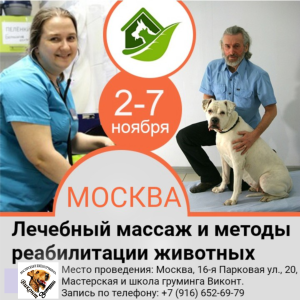 Фото №1 Услуга ветеринара в Москве. Цена договорная. Объявление №3478