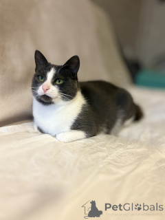 Фото №4. Продам  в Минске частное объявление - цена Бесплатно