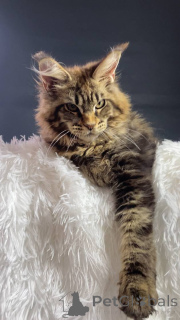 Фото №3. Хусихаджиева Амина Алиевна. Россия