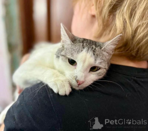 Фото №4. Продам  в Москве реке частное объявление - цена Бесплатно