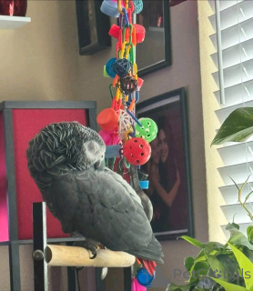 Фото №4. Продажа  в Огайо  - цена 80881₽