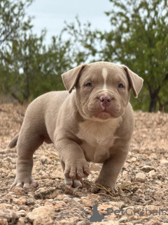 Фото №3. Лена Аникеева.  Испания