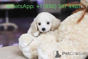 Фото №3. Дом декана Джанет Кей.  США