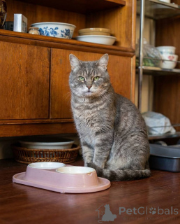 Фото №1.  - купить в Москве реке за Бесплатно. Объявление №162987