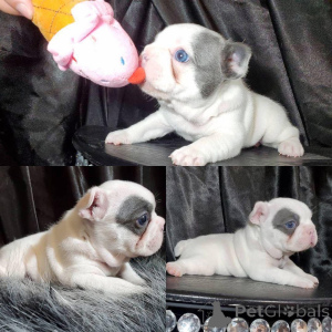 Фото №1.  - купить в Алгермиссен за 44934₽. Объявление №161141