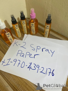 Фото №3. BUY K2 LIQUID SPRAY ONLINE.  Австралия