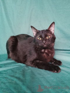 Фото №1.  - купить в Москве реке за Бесплатно. Объявление №161656