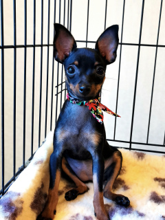 Фото №3. Ольга Дьякова.  Россия