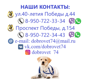 Фото №4. Ветеринар в  России. Объявление №5821