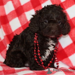 Фото №1.  - купить в Лондонский Сити за 32468₽. Объявление №163935