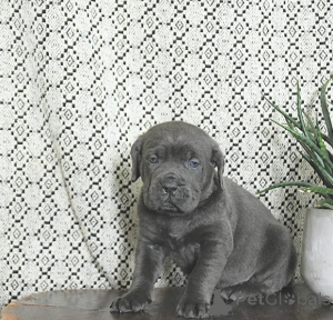 Фото №3. Построен как легенда, рожден, чтобы руководить..  Финляндия