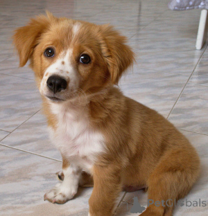 Фото №1.  - купить в Антея за 74214₽. Объявление №162997