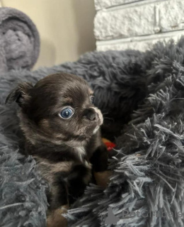 Фото №4. Продажа  в Grevesmühlen  - цена 26902₽