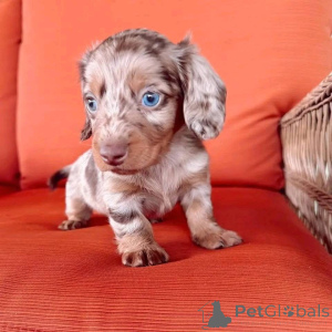 Фото №4. Продажа  в Аризона  - цена 62908₽