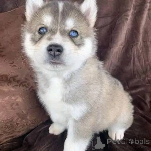 Фото №4. Продажа  в Берлине  - цена договорная