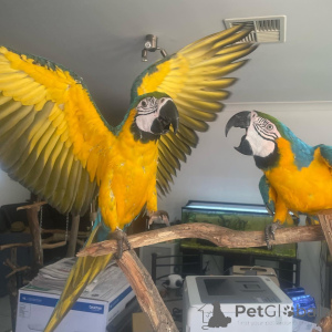 Фото №3. Моя семья и я были доведены до отчаяния из-за непредвиденных семейных проблем и.  Турция